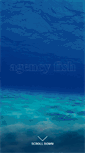 Mobile Screenshot of agencyfish.com